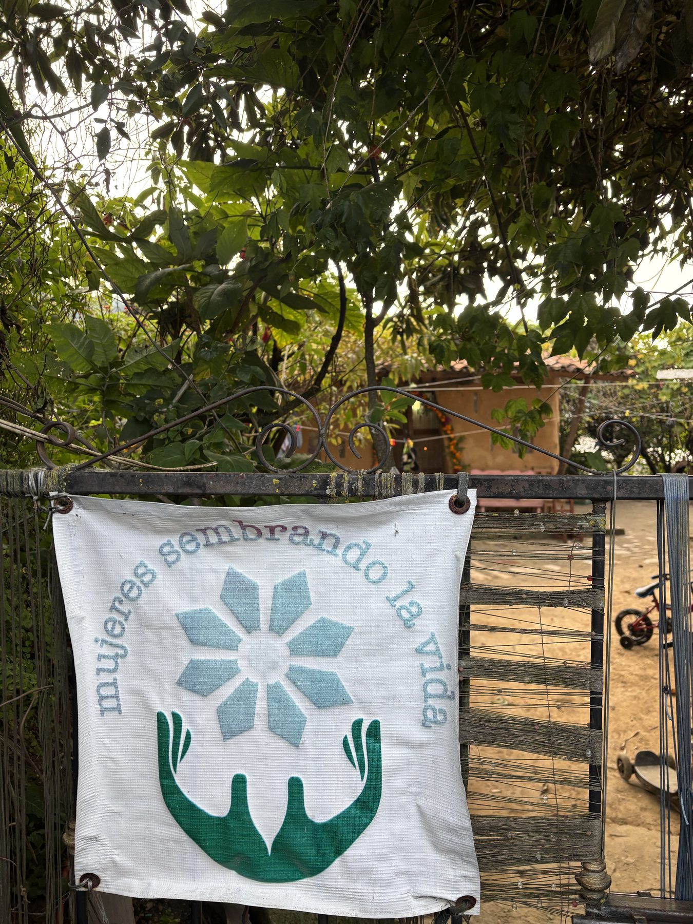 The Mujeres Sembrando la Vida cooperative — a hand-painted banner at the gate, weaving threads, the garden beyond